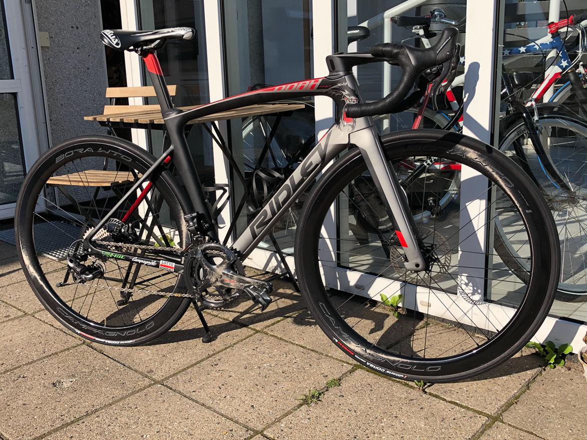 Ridley Noah fast. billede 2