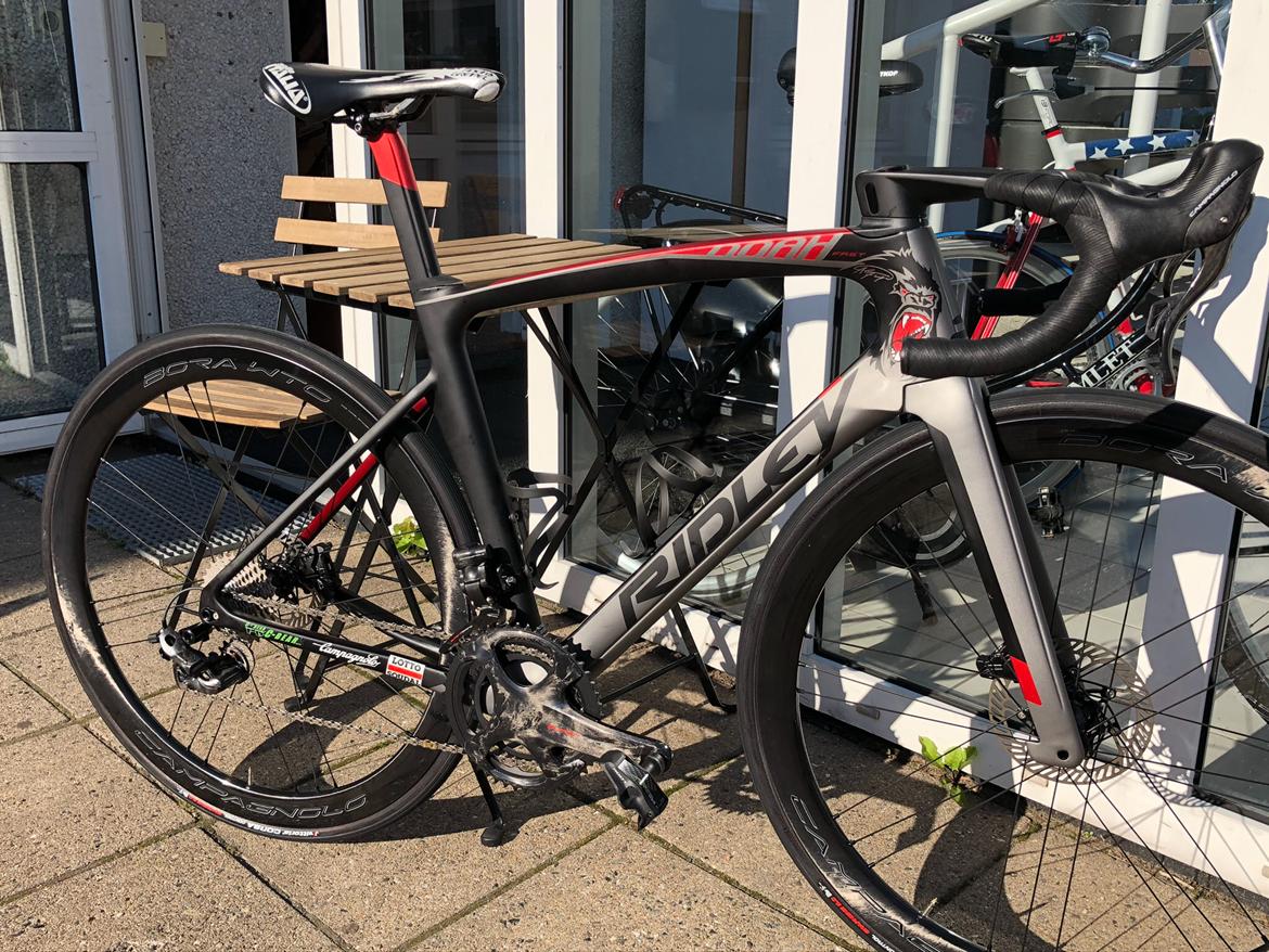 Ridley Noah fast. billede 6