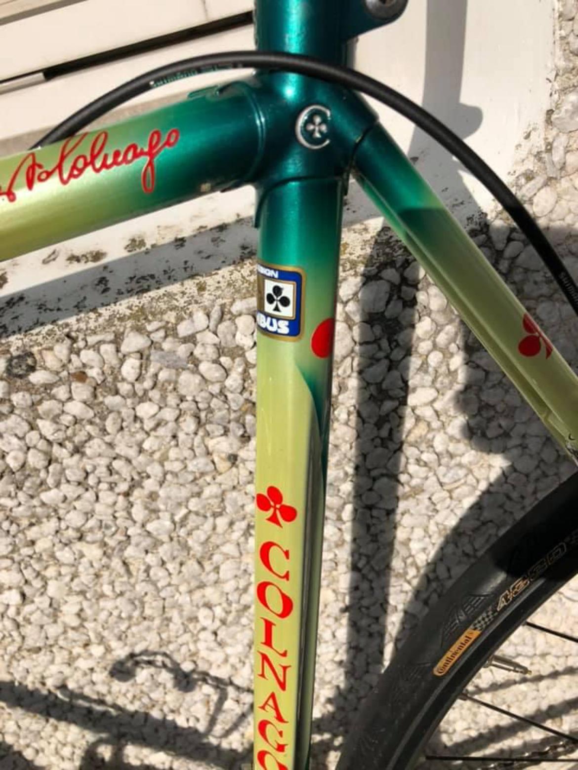 Colnago master team ramme. billede 23