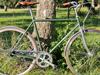 Raleigh Yate