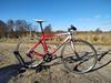 Giant TCR