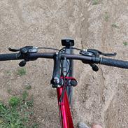 Toyota 19" MTB "Original" - 2006
