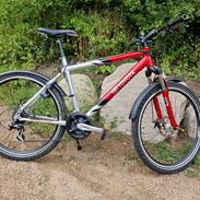 Toyota 19" MTB "Original" - 2006