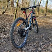 T-bikes Shark Alu Edition V2 27.5 Custom - 2024