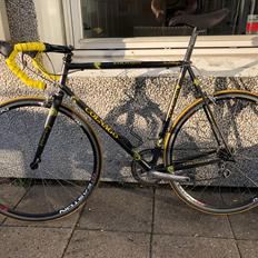 Colnago Tecnos 2000 team cost.