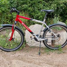 Toyota 19" MTB "Original" - 2006