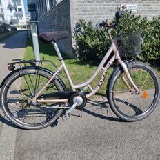 Raleigh Alu Minishopper - 2006