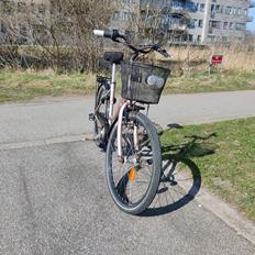 Raleigh Alu Minishopper - 2006