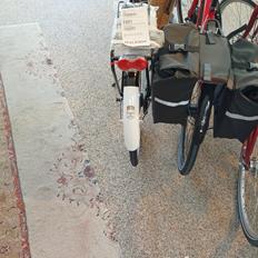 Raleigh Tourist de Luxe
