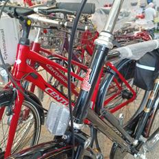 Raleigh Tourist de Luxe