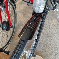 Raleigh Tourist de Luxe