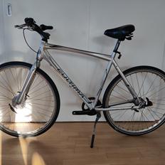 Cult Cultima CXR - 2012