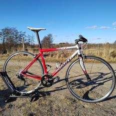 Giant TCR