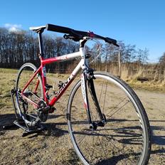 Giant TCR