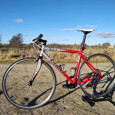 Giant TCR
