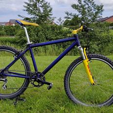 Kinesis RS