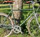 Raleigh Yate