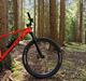 Scott Scale 970