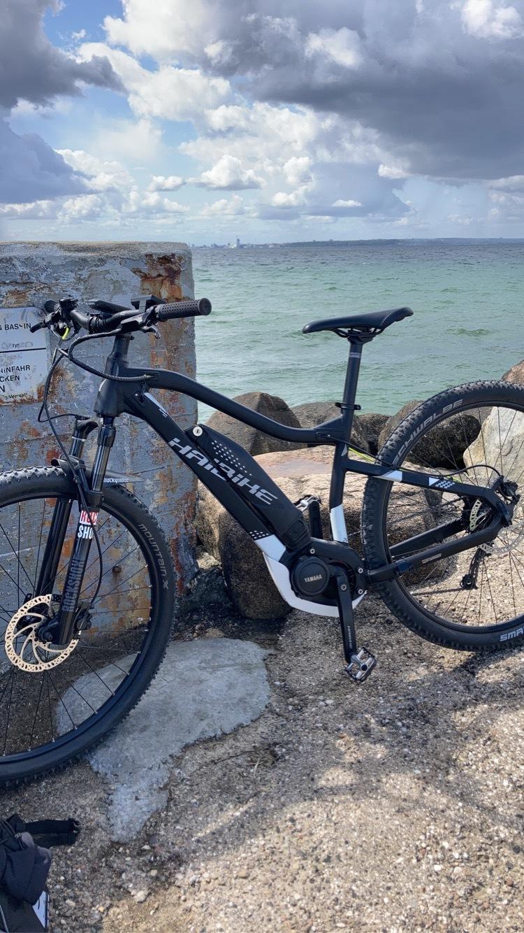 Haibike Sduro Hardnine billede 4