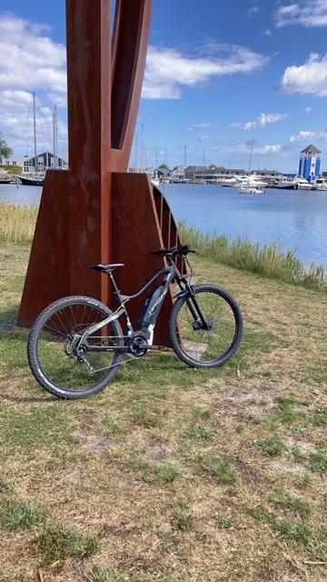 Haibike Sduro Hardnine billede 5