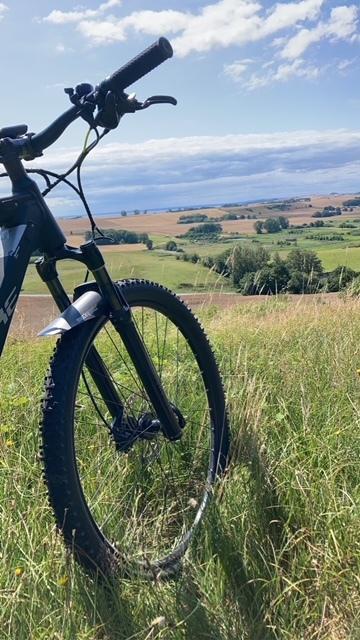 Haibike Sduro Hardnine billede 7