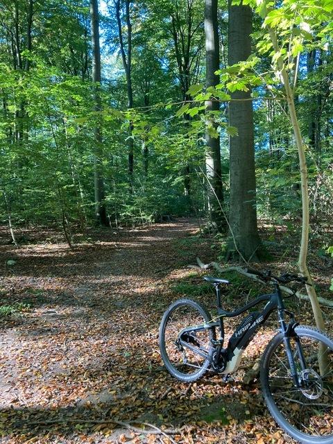 Haibike Sduro Hardnine billede 13