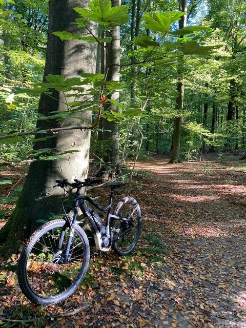 Haibike Sduro Hardnine billede 14