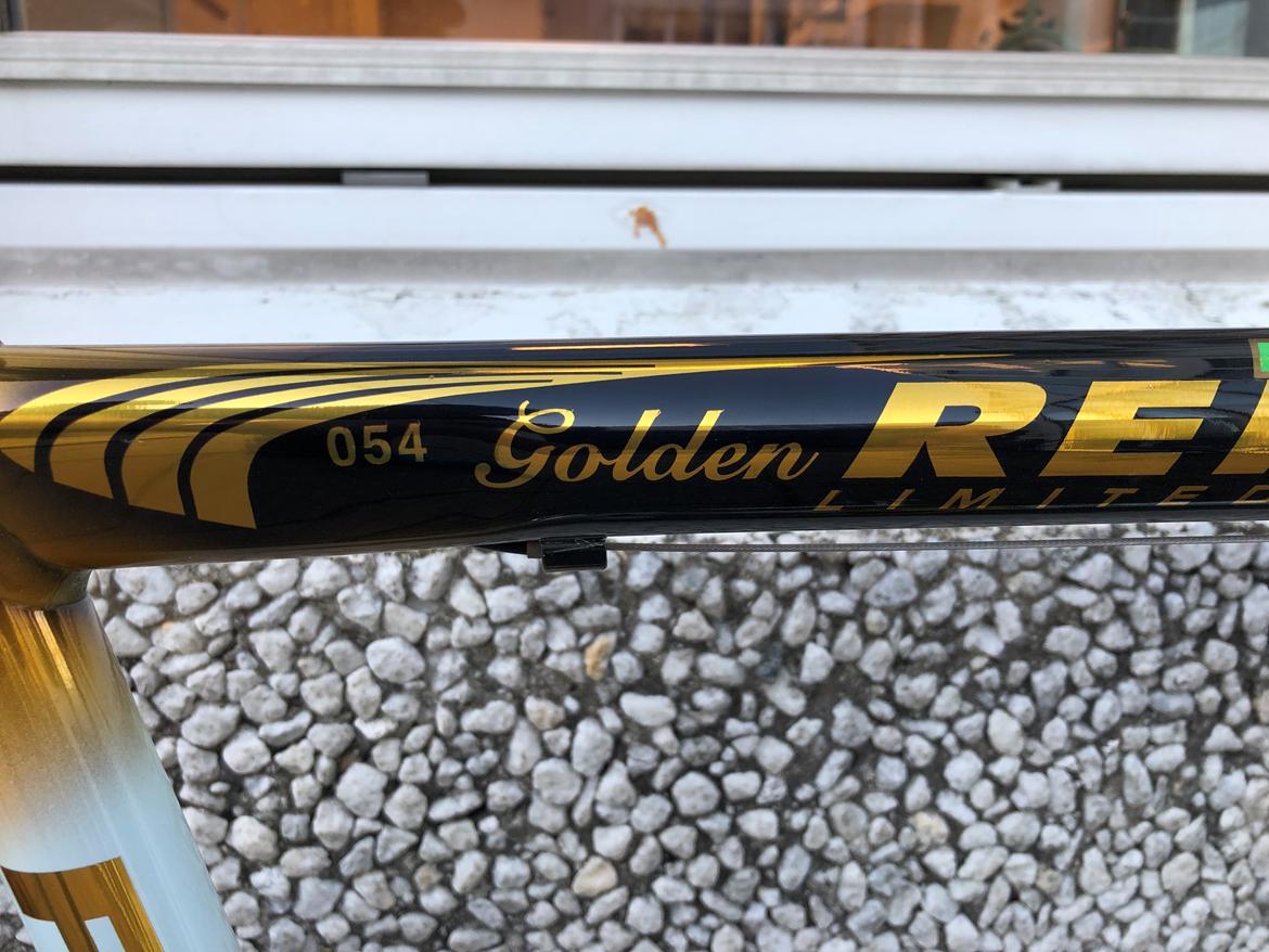 Fondriest Golden Ranix 88 billede 7