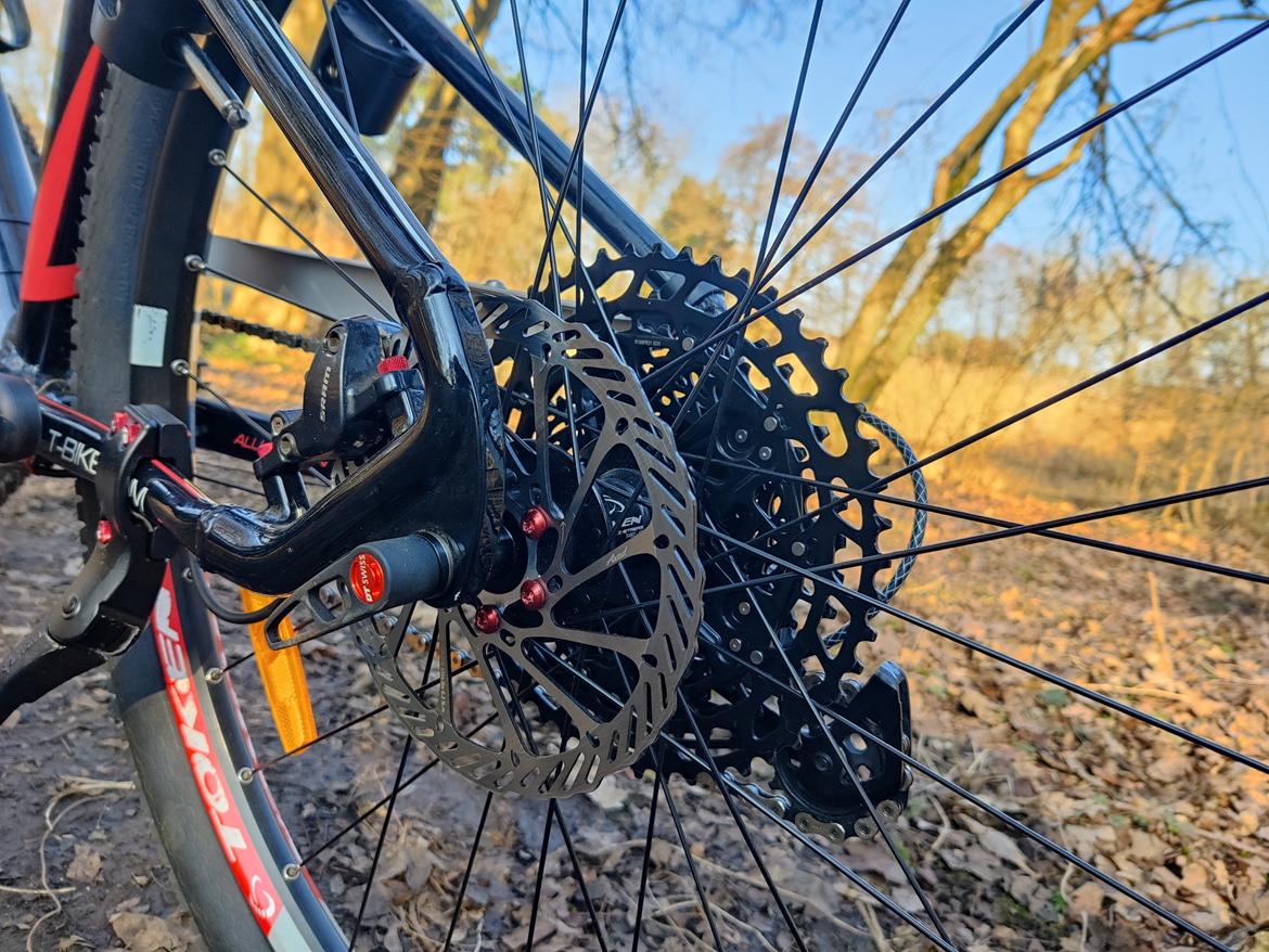 T-bikes Shark Alu Edition V2 27.5 Custom - 2024 billede 10