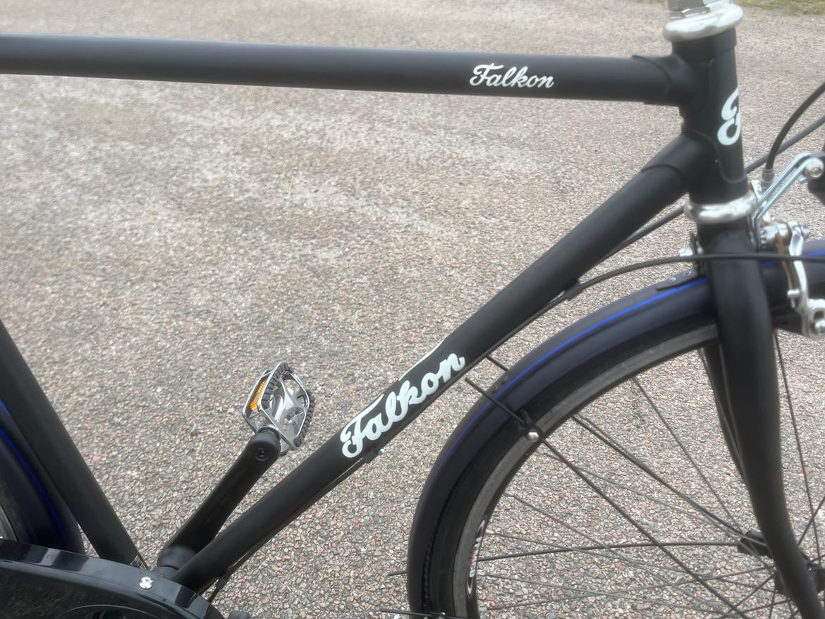 No-Name Falkon billede 8