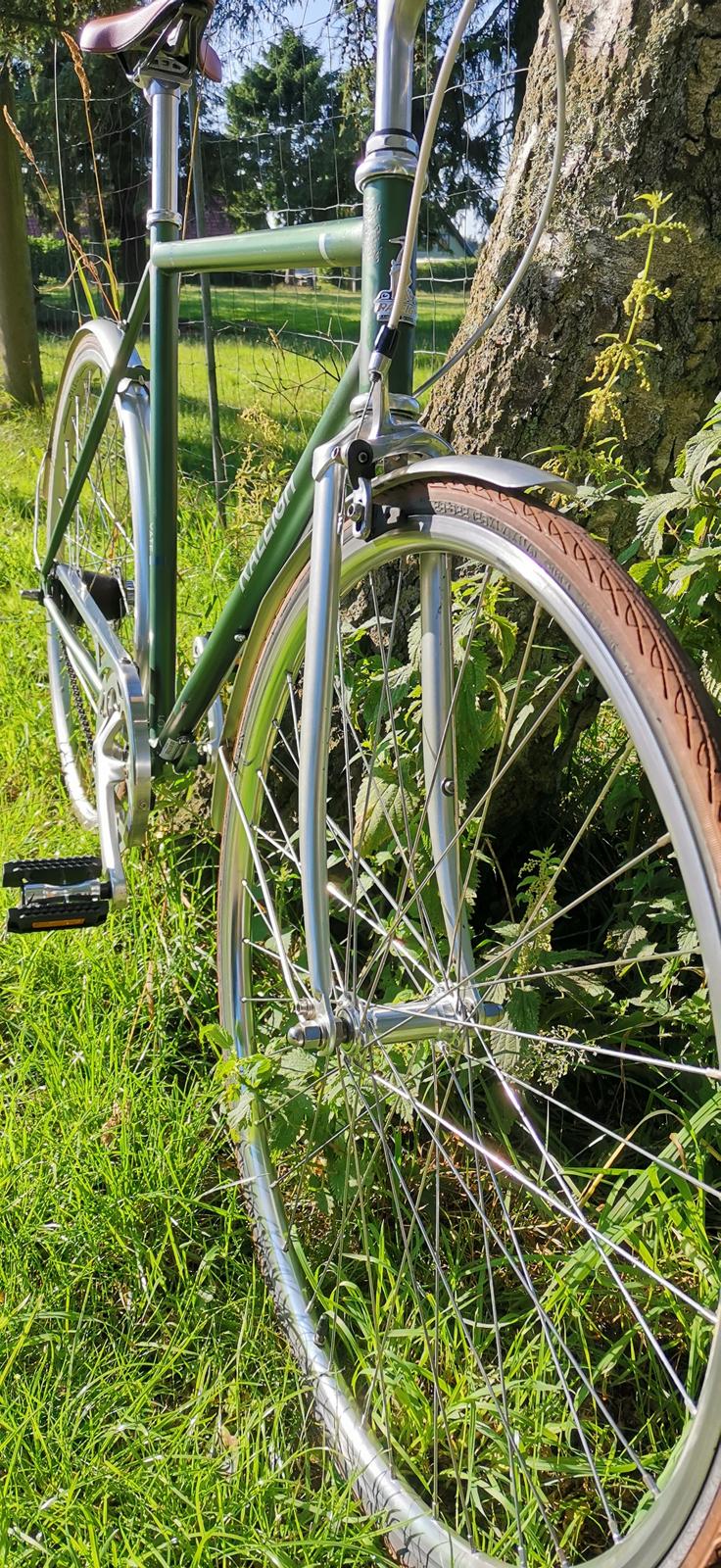 Raleigh Yate billede 2