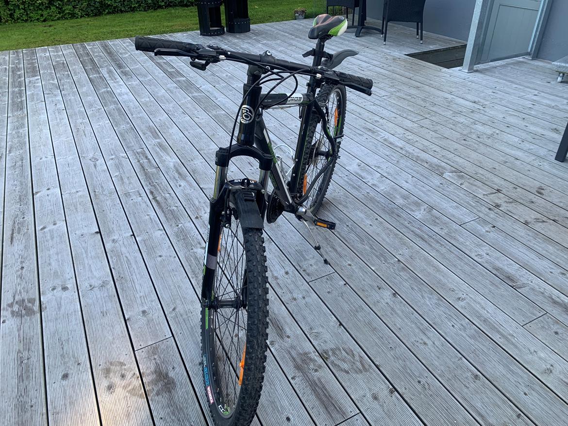 Busetto Grande 29" Mountainbike. billede 3