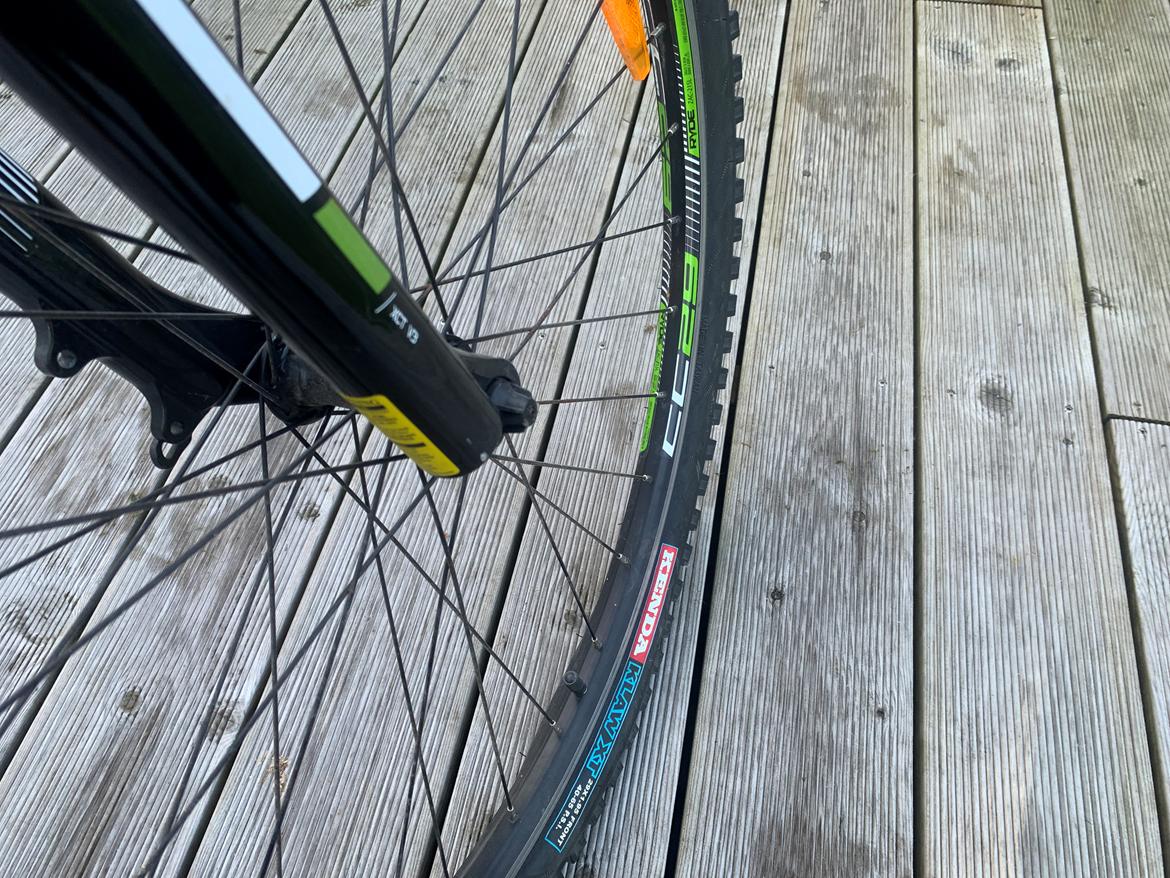 Busetto Grande 29" Mountainbike. billede 11