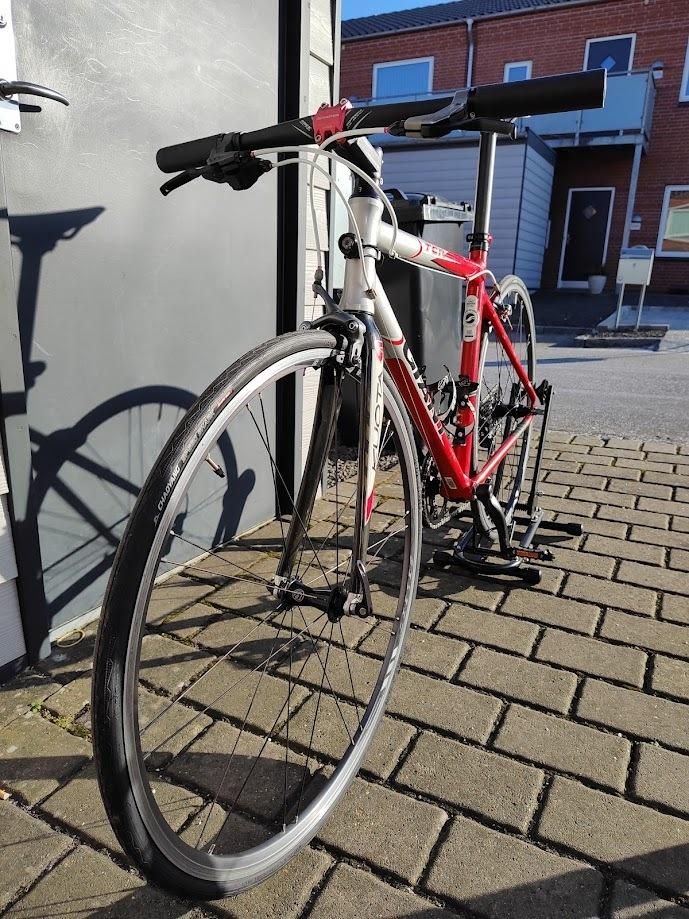Giant TCR billede 19