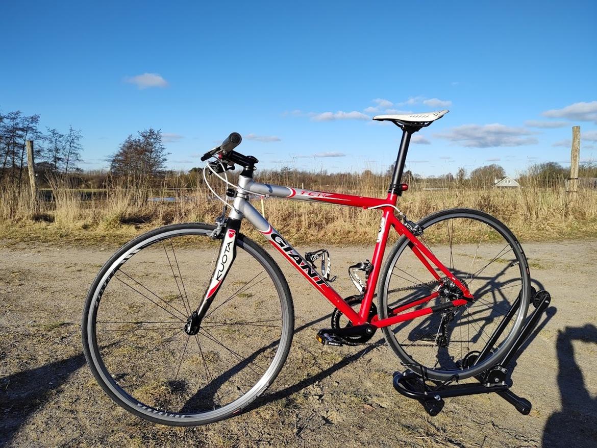 Giant TCR billede 2