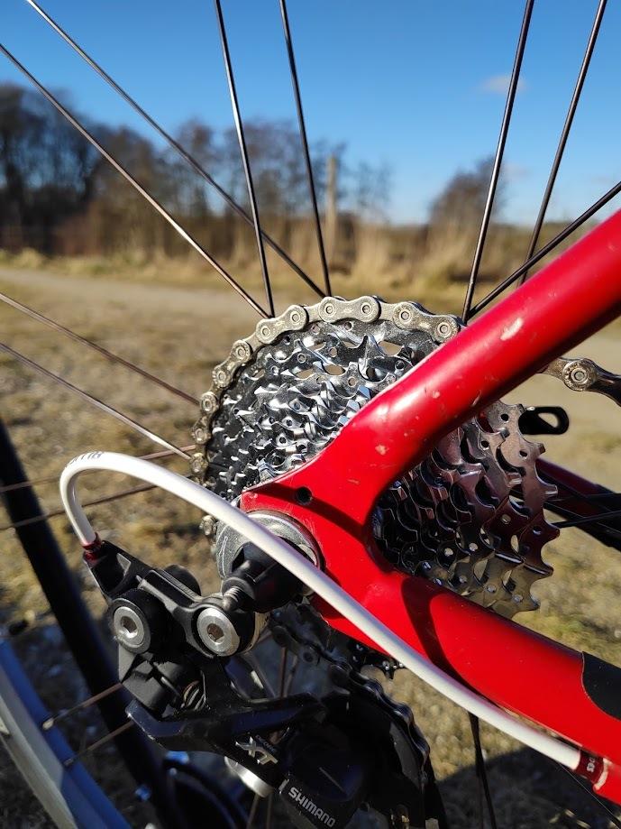 Giant TCR billede 13