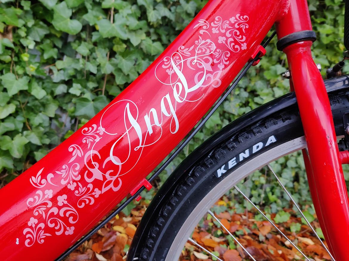 Mustang Angel - 2011 billede 1