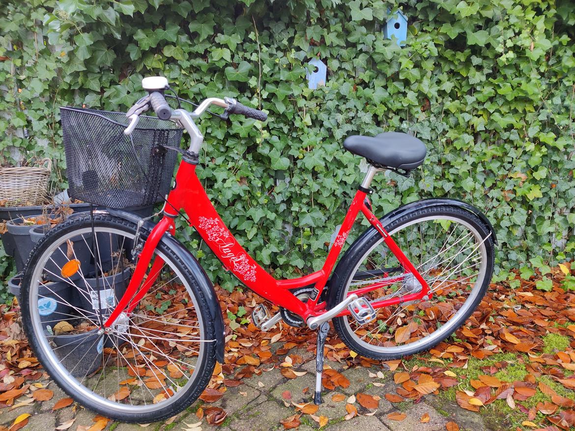 Mustang Angel - 2011 billede 3