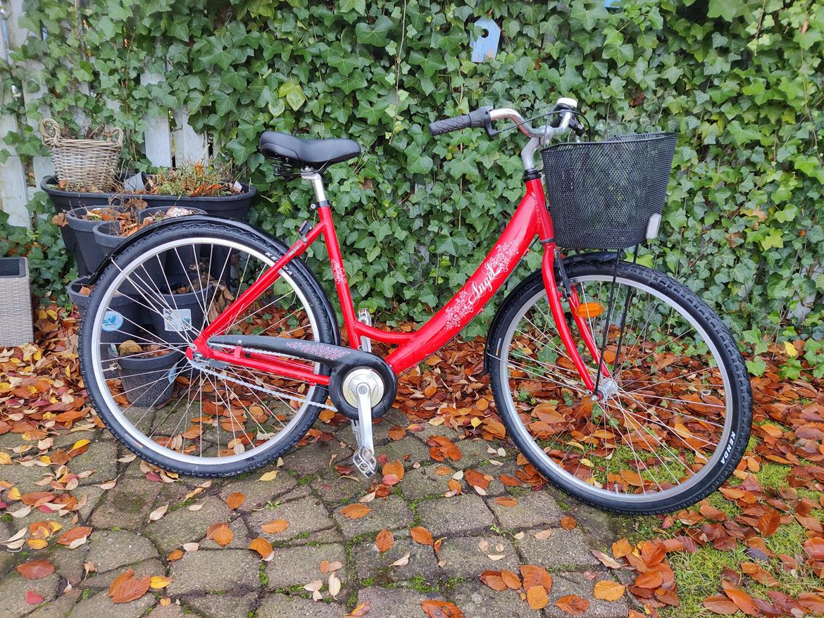 Mustang Angel - 2011 billede 2