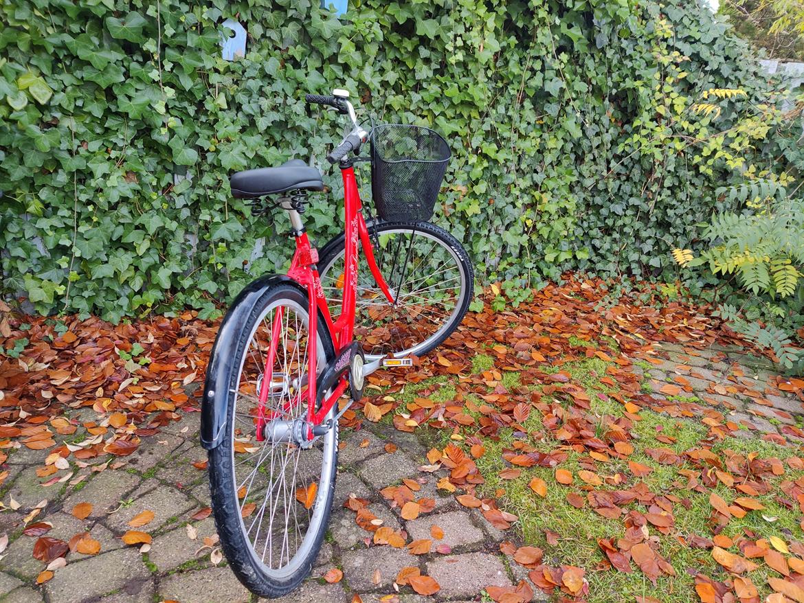 Mustang Angel - 2011 billede 5