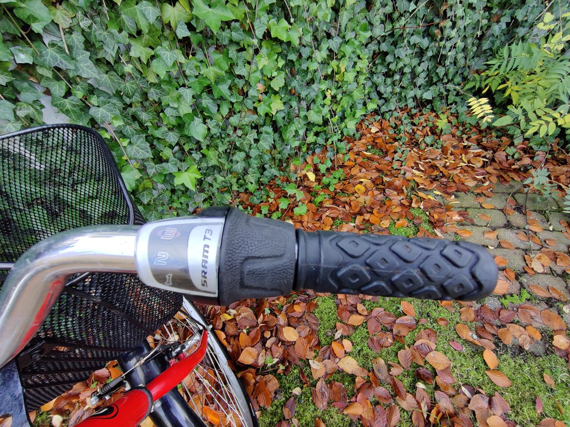 Mustang Angel - 2011 billede 6