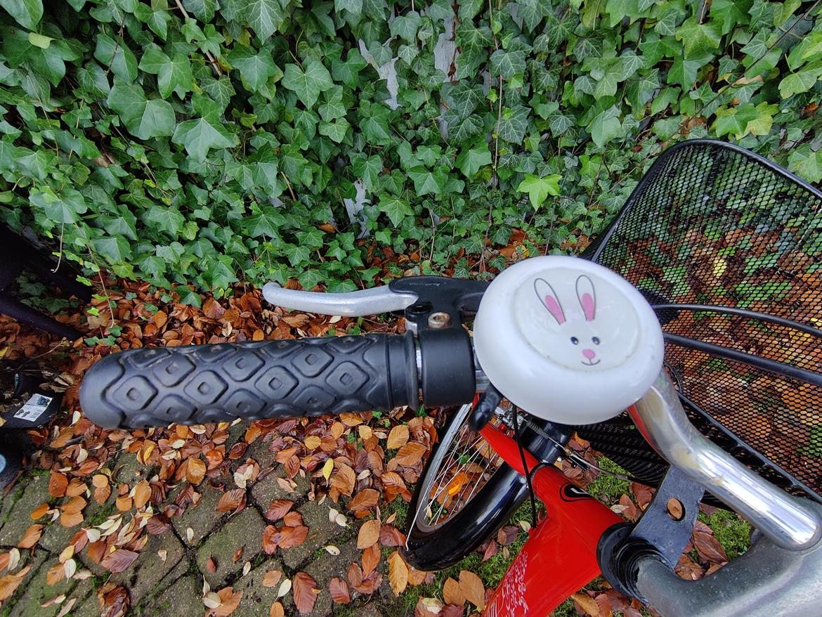 Mustang Angel - 2011 billede 7