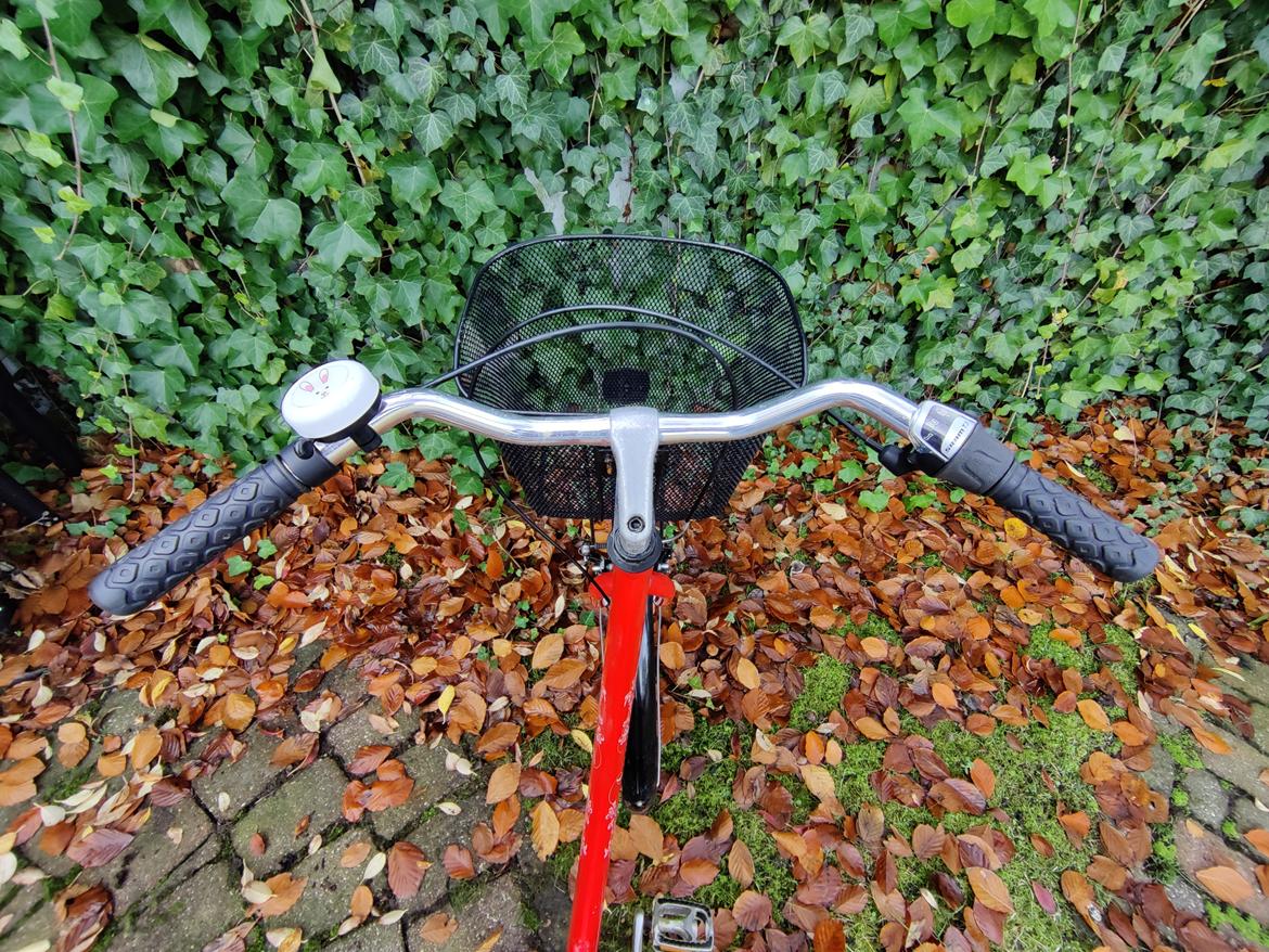 Mustang Angel - 2011 billede 8