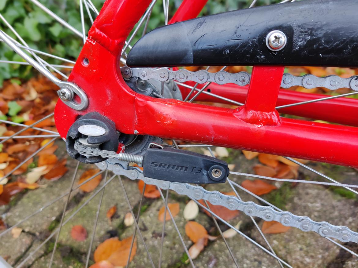 Mustang Angel - 2011 billede 9