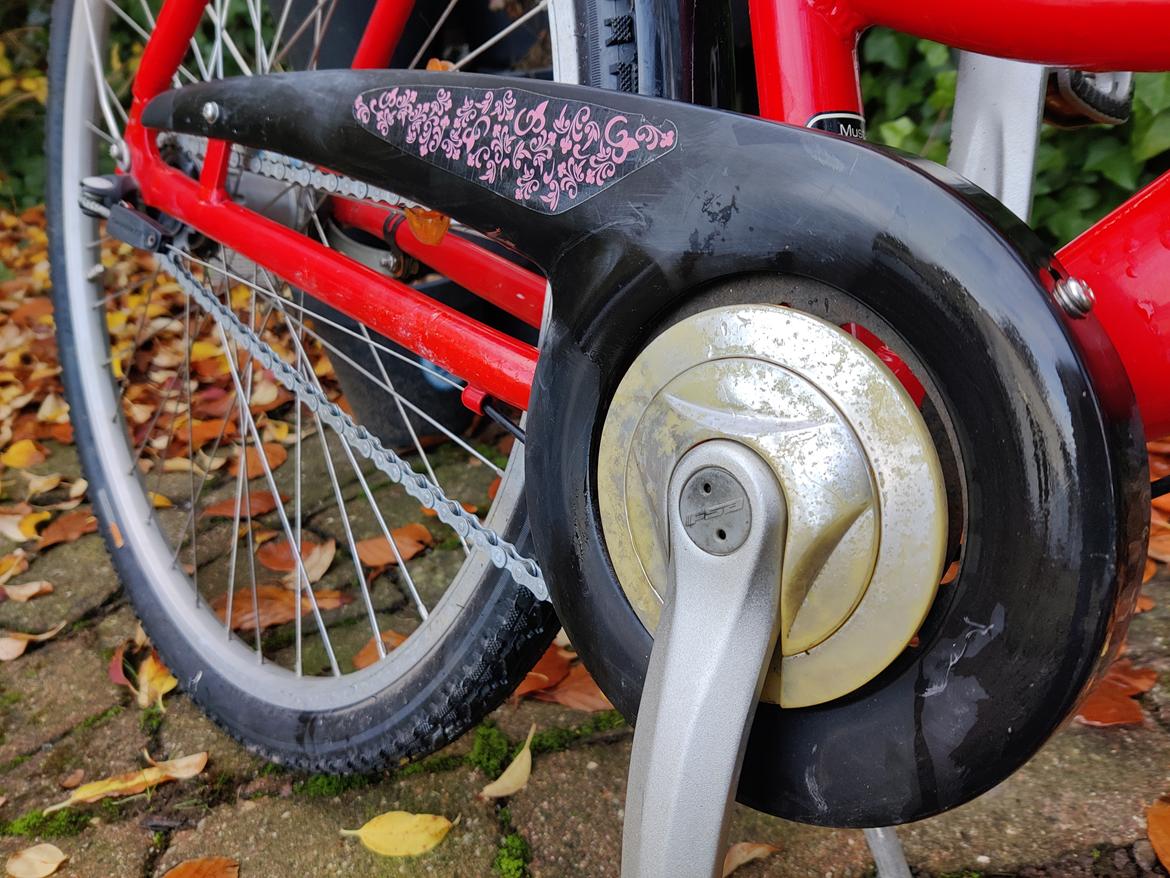 Mustang Angel - 2011 billede 10