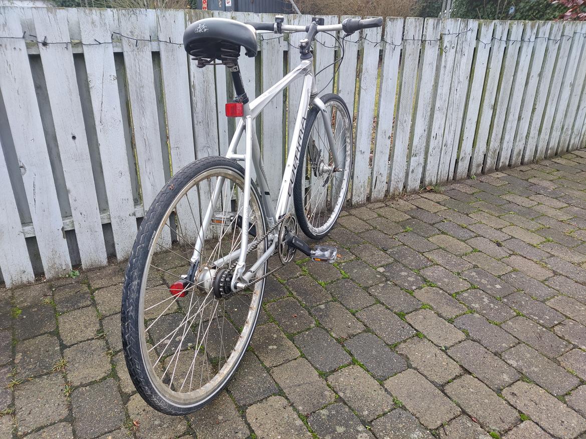 Cult Cultima CXR - 2012 billede 17