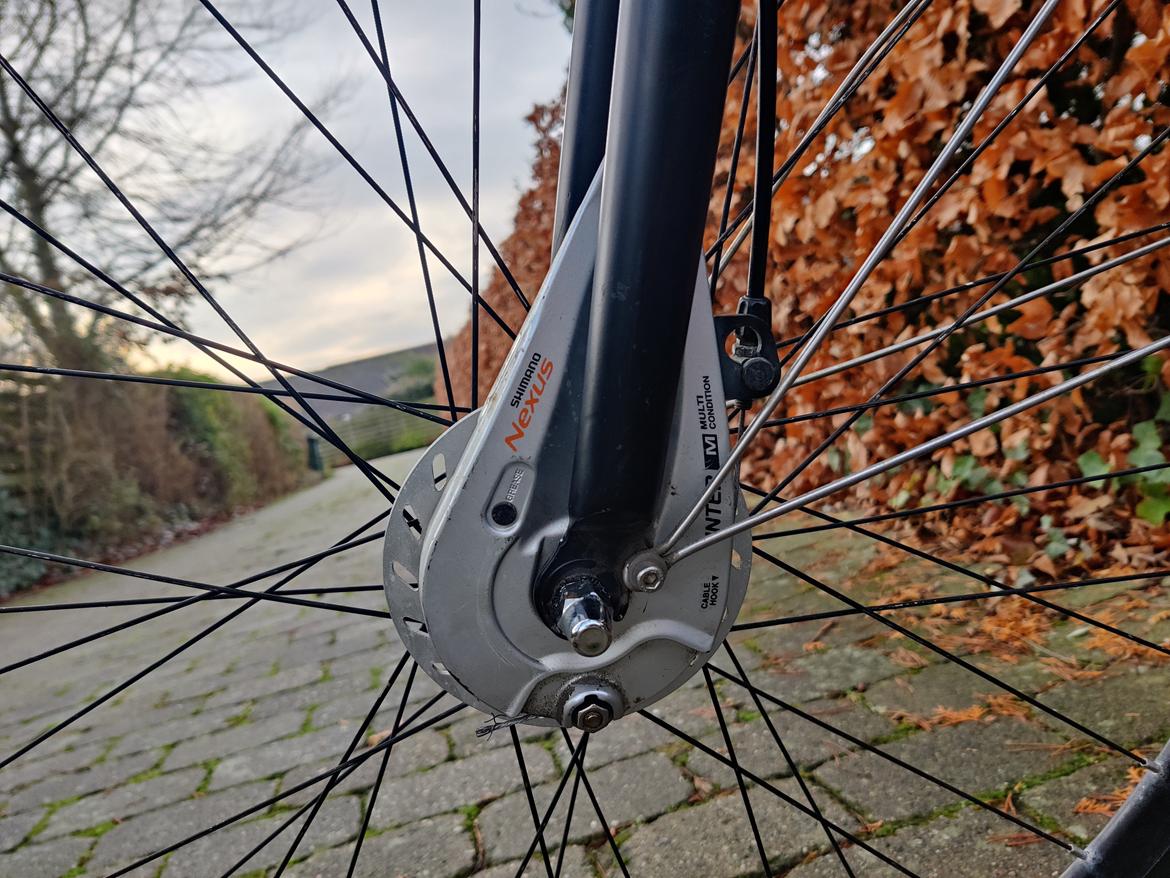 SCO Premium Sport billede 6