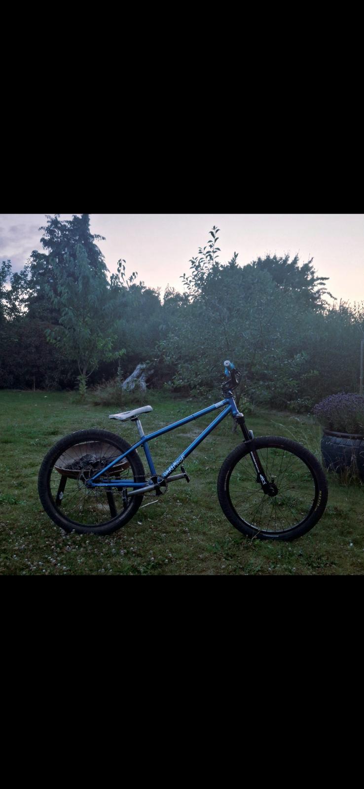 Dartmoor Quinnie billede 17
