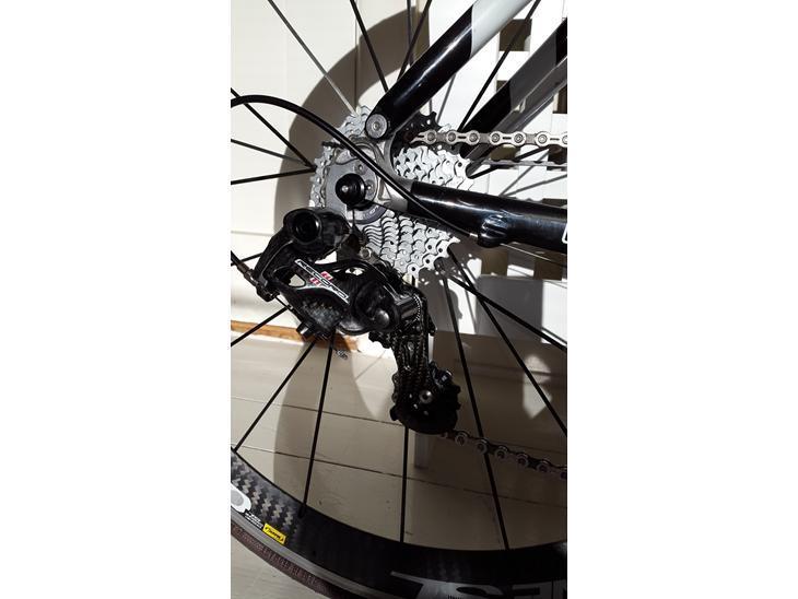 No-Name Kina Carbon billede 3