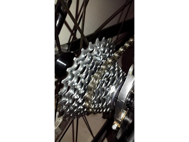 No-Name Kina Carbon billede 5